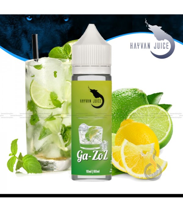 HAYVAN JUICE Ga-Zoz Aroma - 10 ml