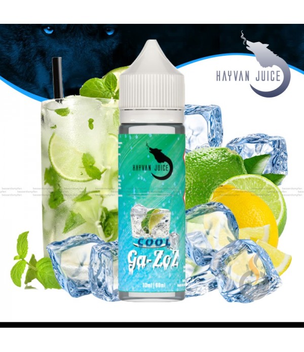 HAYVAN JUICE Ga-Zoz Cool Aroma - 10 ml